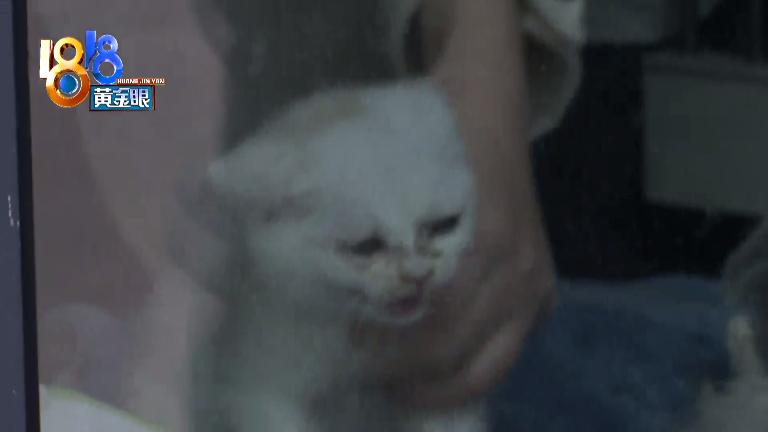 DƬ
